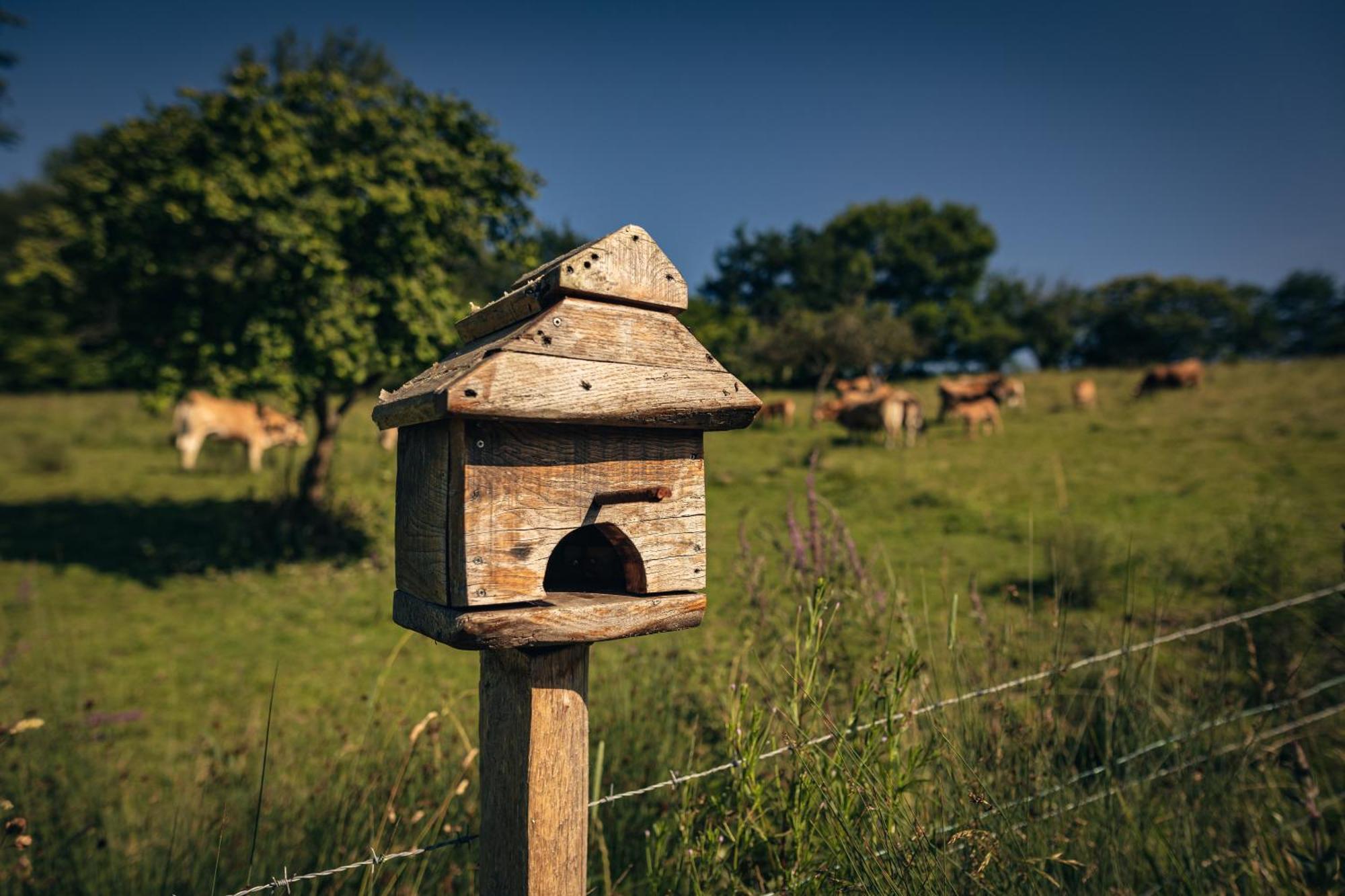 Beloncio Finca La Naguada Casa Rural En Asturias מראה חיצוני תמונה