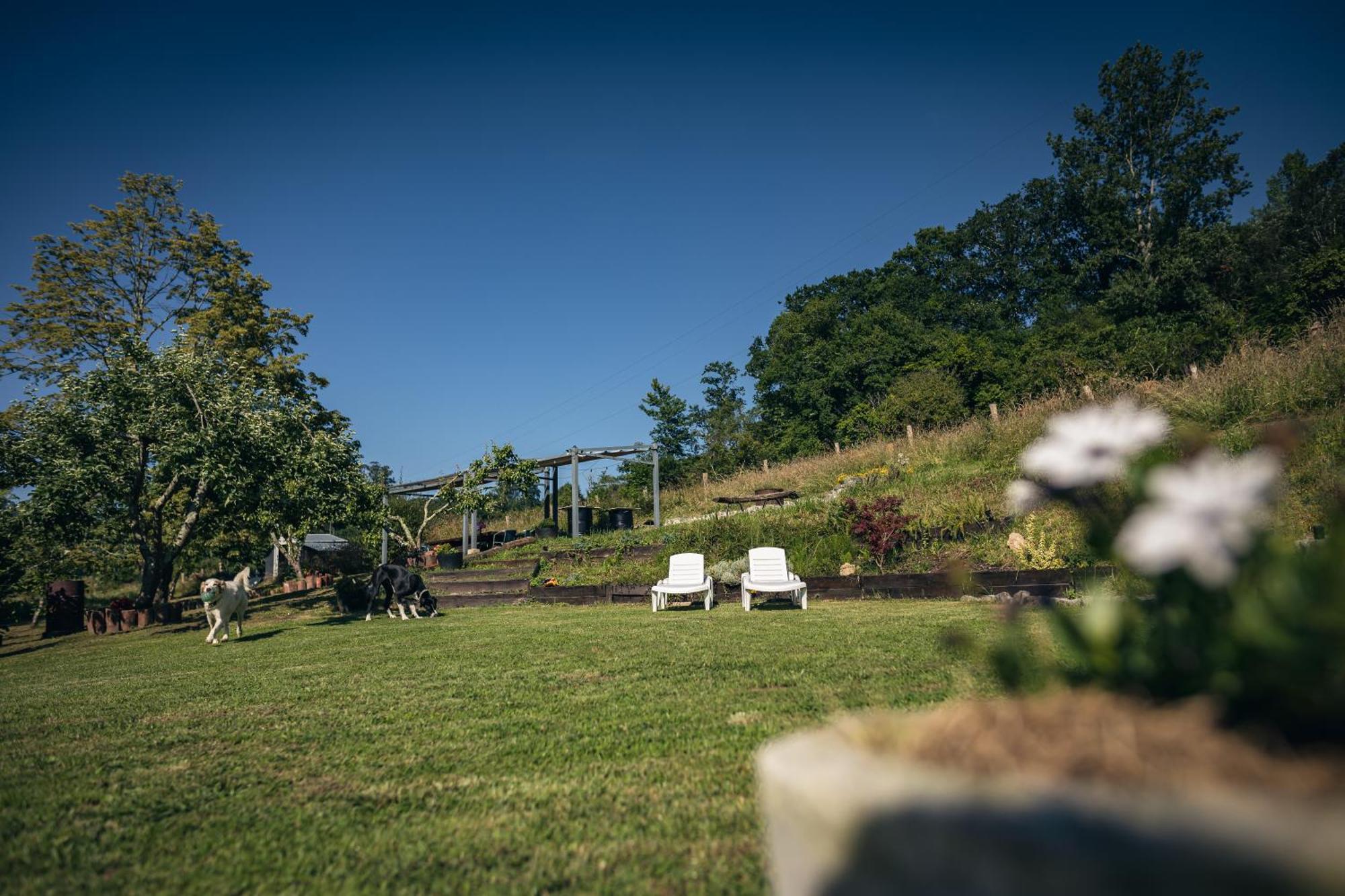 Beloncio Finca La Naguada Casa Rural En Asturias מראה חיצוני תמונה