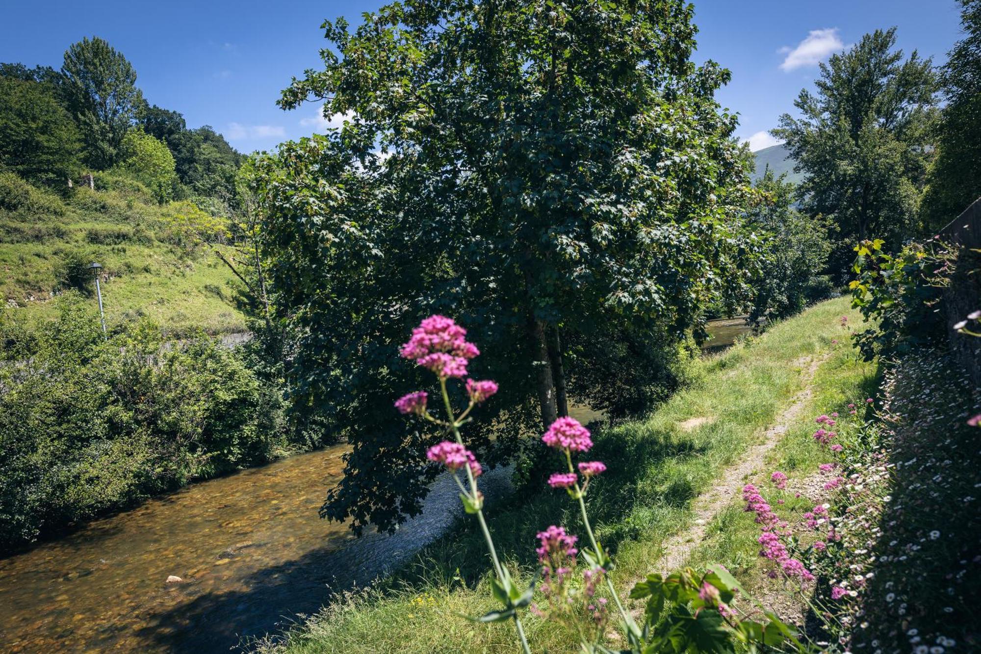 Beloncio Finca La Naguada Casa Rural En Asturias מראה חיצוני תמונה
